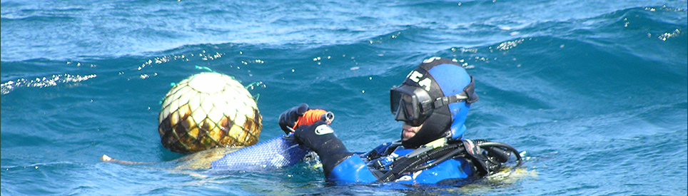 Curso Buceo Científico